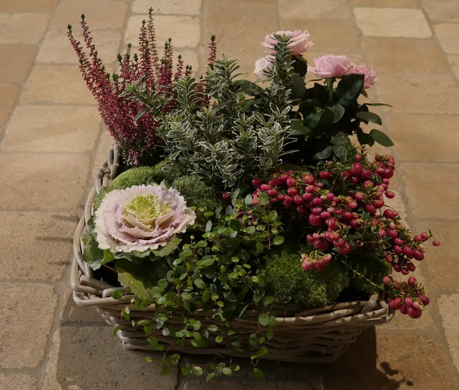 Coupe plantes basse Coupe plantes basse