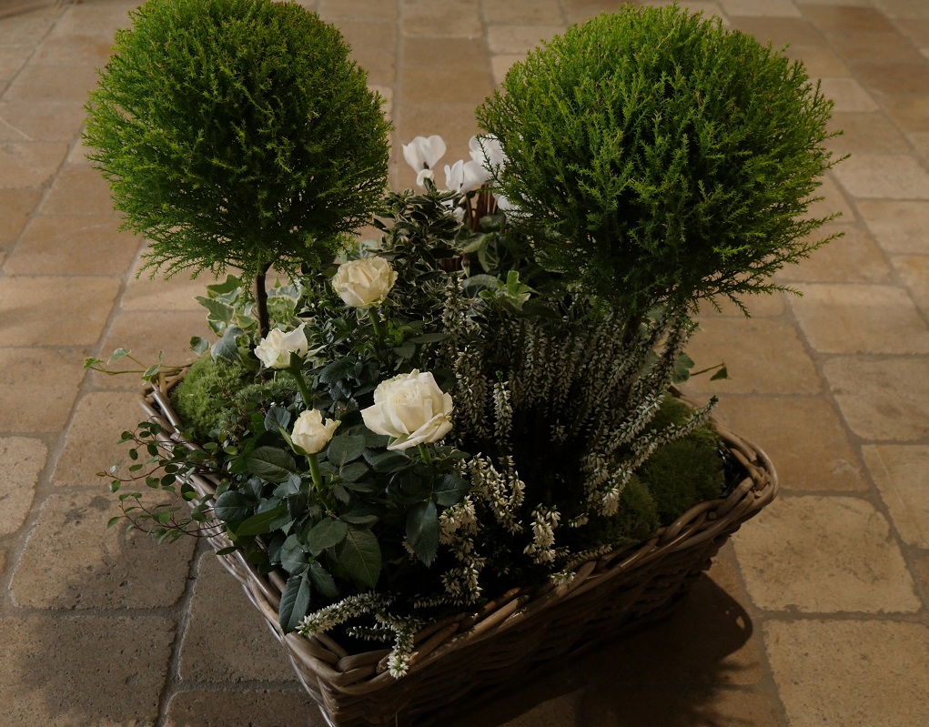 Coupe plantes haute Coupe plantes haute
